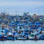 Il costo nascosto della pesca a strascico nei mari europei