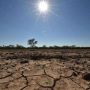 Per l’agricoltura la stagione più dura