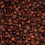 Oltre l'espresso: a Firenze una nuova cultura del caffè