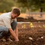 L’agricoltura come politica trasversale di sviluppo