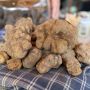 TartuFesta: Montaione tra identità, lingua e nuovi spazi culturali