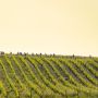 Domenica 31 maggio la decima Eroica Montalcino