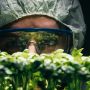 I nuovi OGM mettono a rischio il futuro del biologico