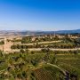Al via anche la vendemmia del Brunello