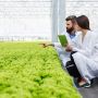 In agricoltura chi investe in sostenibilità è premiato